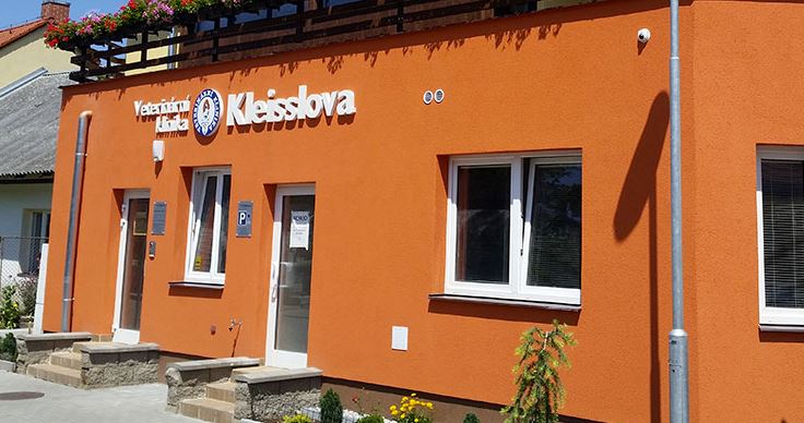 Pojištění veterinárního ošetření psa Plzeň