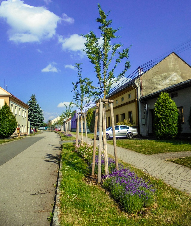 Krajinářská architektura