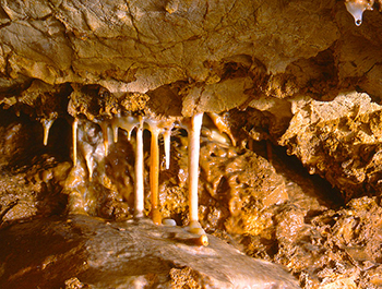 Bozkovské dolomitové jeskyně