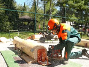 Střední lesnická škola Žlutice, dřevorubec, lesní mechanizátor