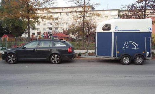 Taxislužba Strakonice, přeprava koní