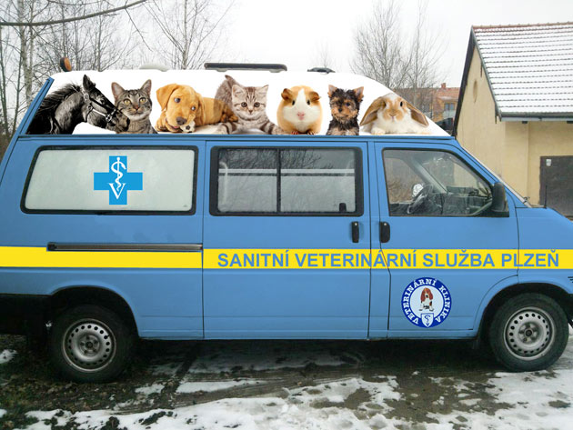 Veterinární ošetření koní Plzeň