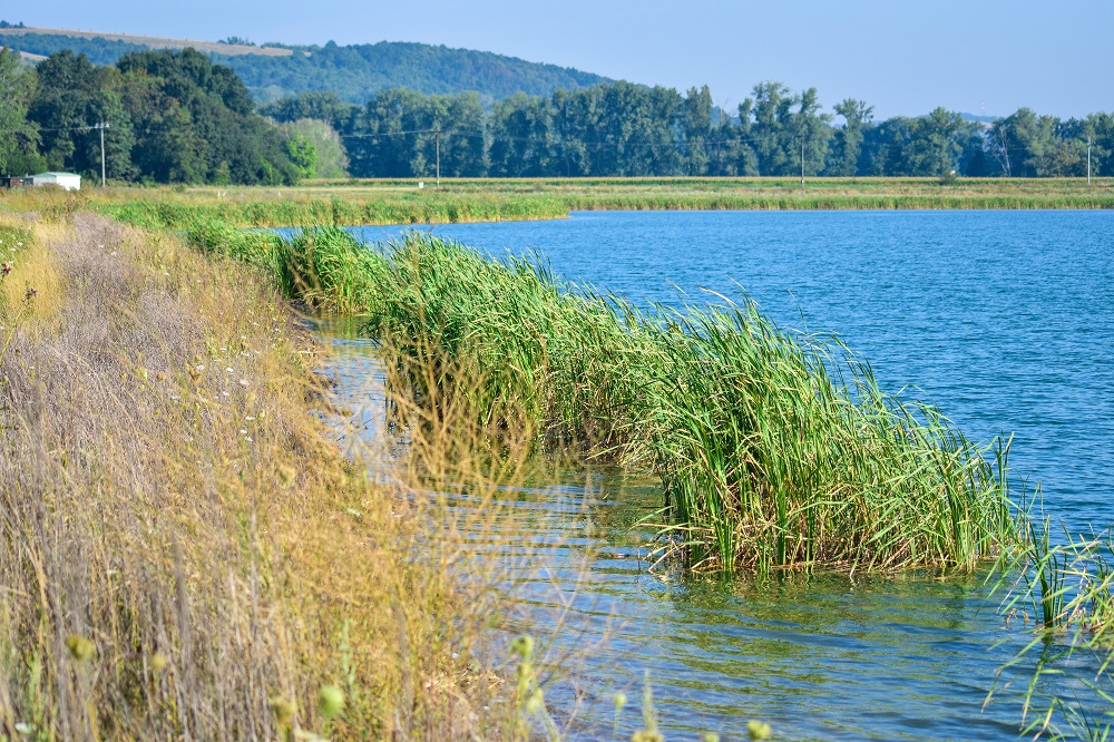 Plány, studie a projekty pro revitalizaci ploch dotčených těžbou