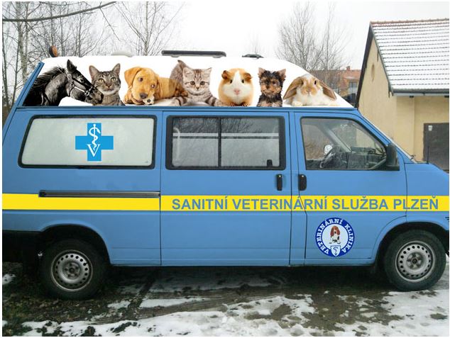 Veterinární klinika Plzeň - sanitní služba, operace