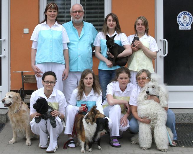 Veterinární klinika Plzeň - sanitní služba, operace, léčba zvířat, fyzioterapie