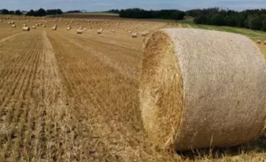 Síťoviny JUTANET na balení slámy, sena, senáže Dvůr Králové nad Labem