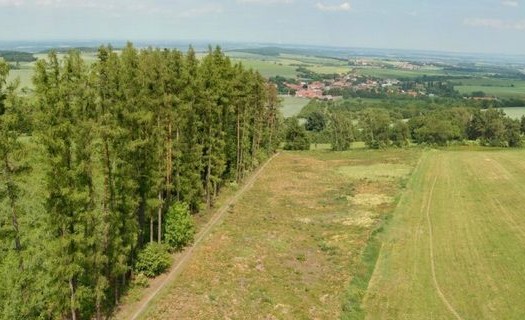 Lesní ochranná služba, myslivost