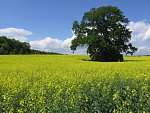 AGRO CS, a.s., divize Agroslužby, průmyslová hnojiva pro výživu rostlin