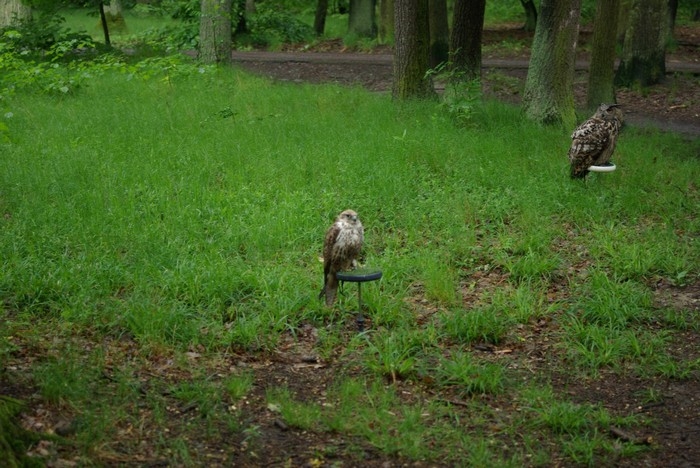 ekologická výchova, enviromentální učení Praha