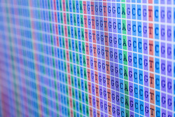 Testy pro in vitro diagnostiku - Biogen PRAHA s.r.o.