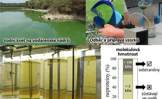 Ústav pro hydrodynamiku, výzkum, mechanika tekutin, reologie, hydrologie, úprava vody, Praha