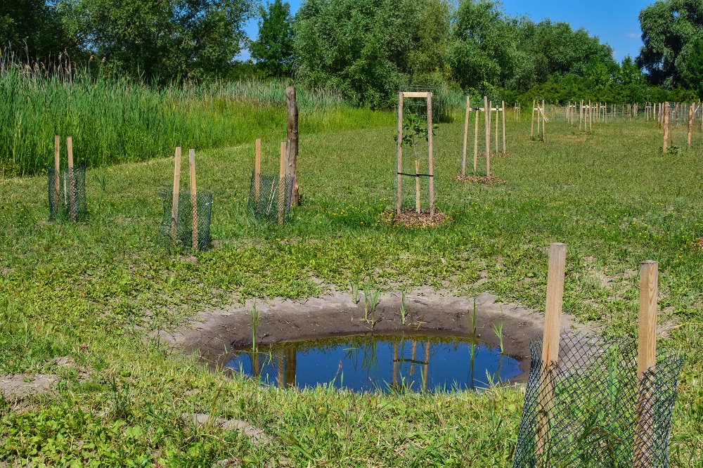 Návrhy a projektování drobných vodních prvků