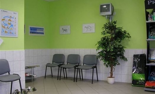 Veterinární ordinace, služby Lanškroun