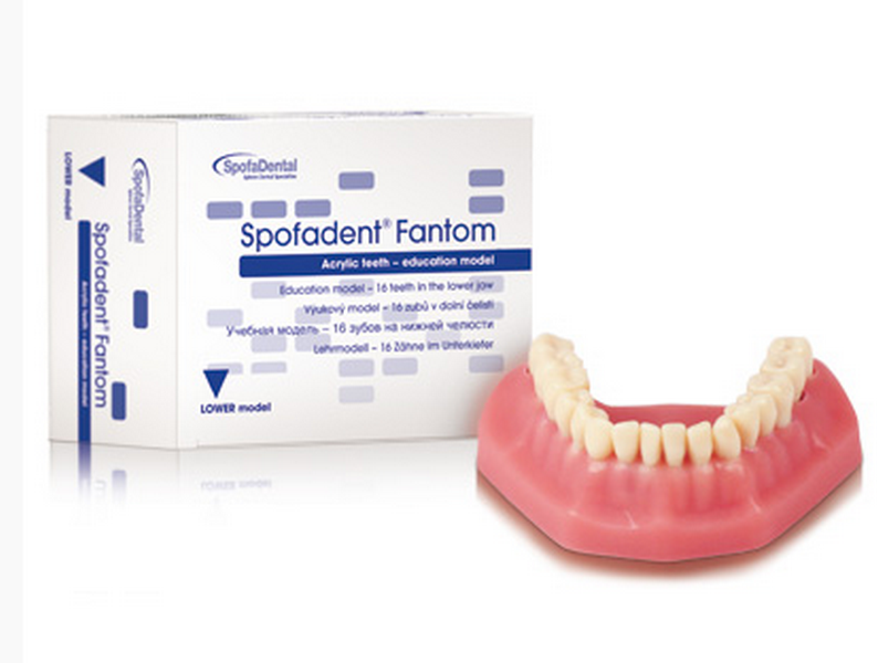 Nejlepší dentální produkty do Vaší zubní ordinace