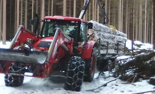 Lesnické služby - těžba, přibližování dřeva, prodej palivového dřeva