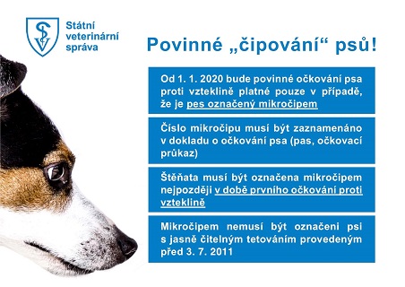 povinné čipování psů - v Uherském Hradišti na Veterinární klinice Mlejnský