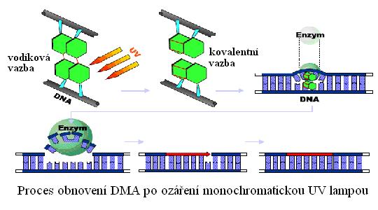 ezávadná voda bez chemické úpravy