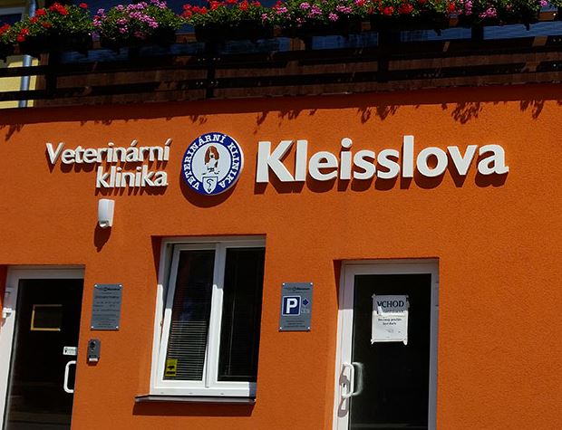 Pojištění veterinární léčby psa Plzeň