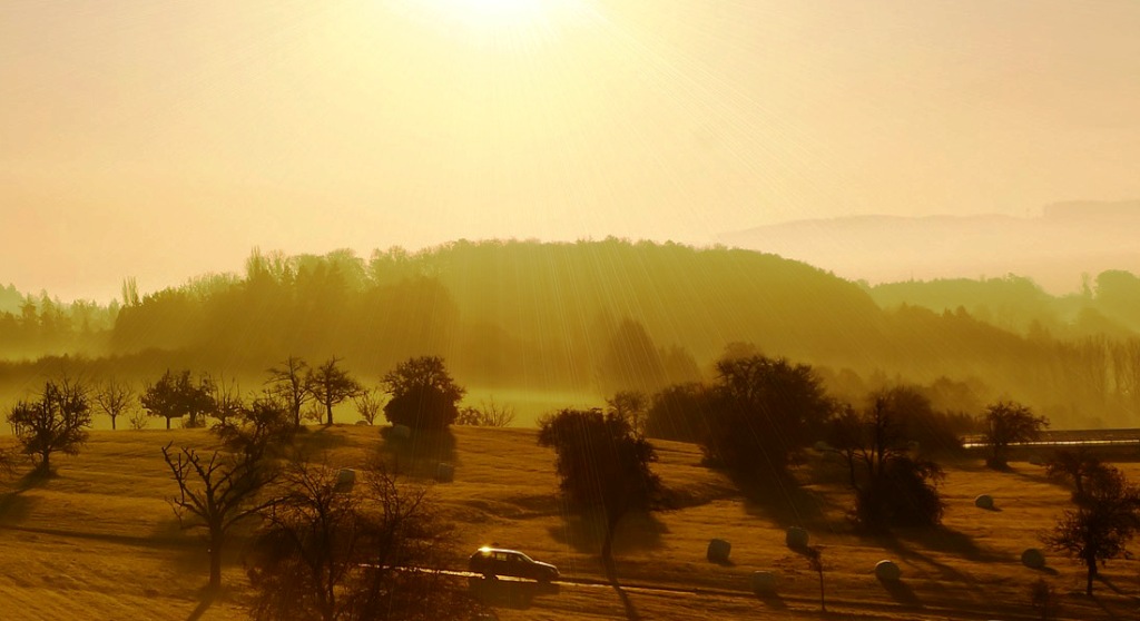 Celní deklarace, služby, školení, celní řízení Zlín