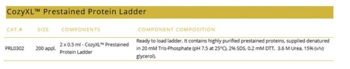 CozyXL™ Prestained Protein Ladder – ihned k použití