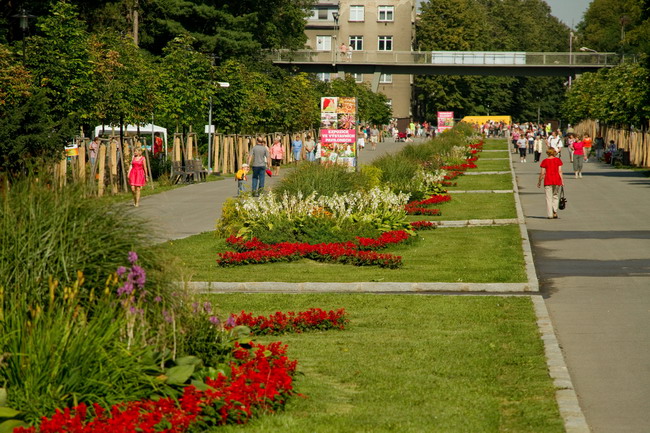 zahradnický veletrh Flora Olomouc