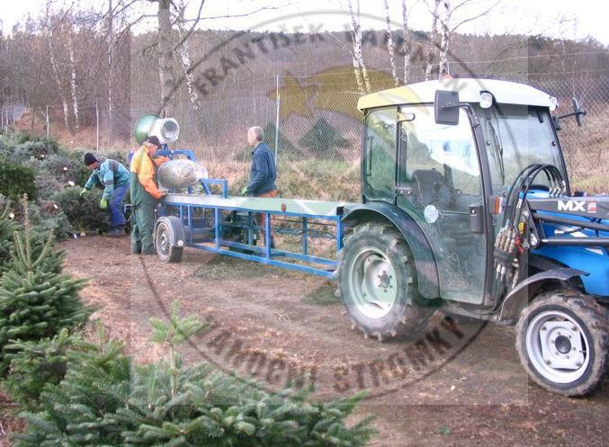 Ruční i strojní balení vánočních stromků