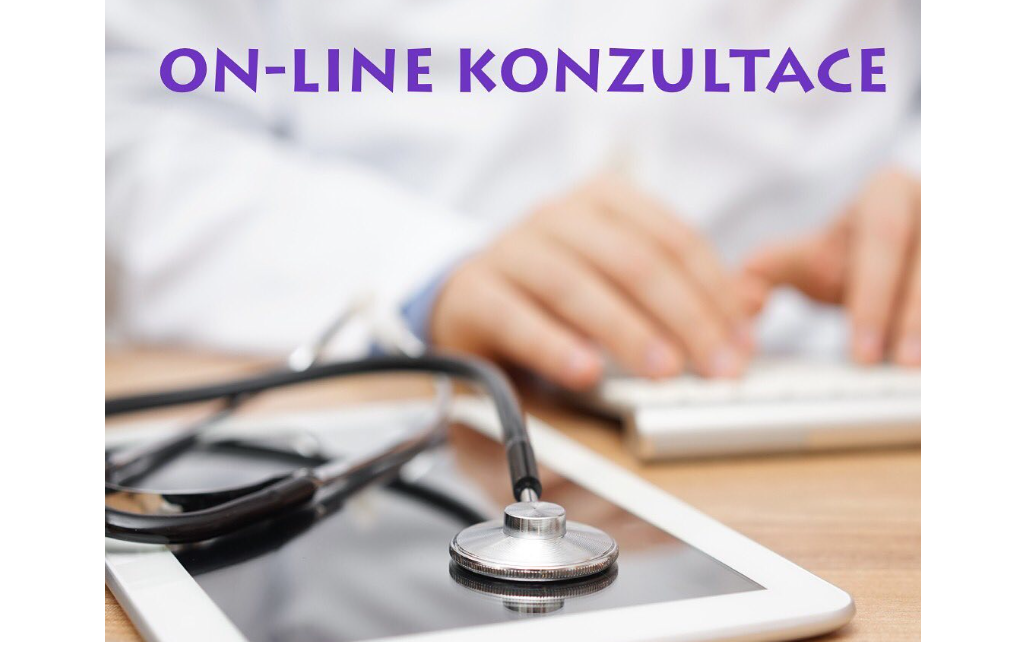 Konzultace zdarma, online